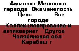 Аммонит Мелового периода. Окаменелость. › Цена ­ 2 800 - Все города Коллекционирование и антиквариат » Другое   . Челябинская обл.,Карабаш г.